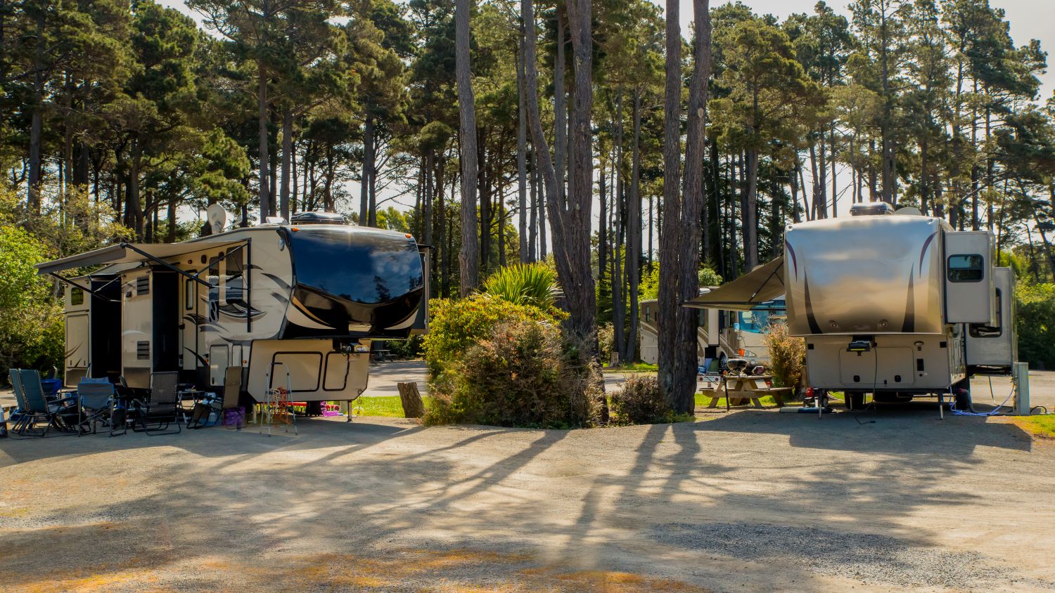 two RVs parked in a forest